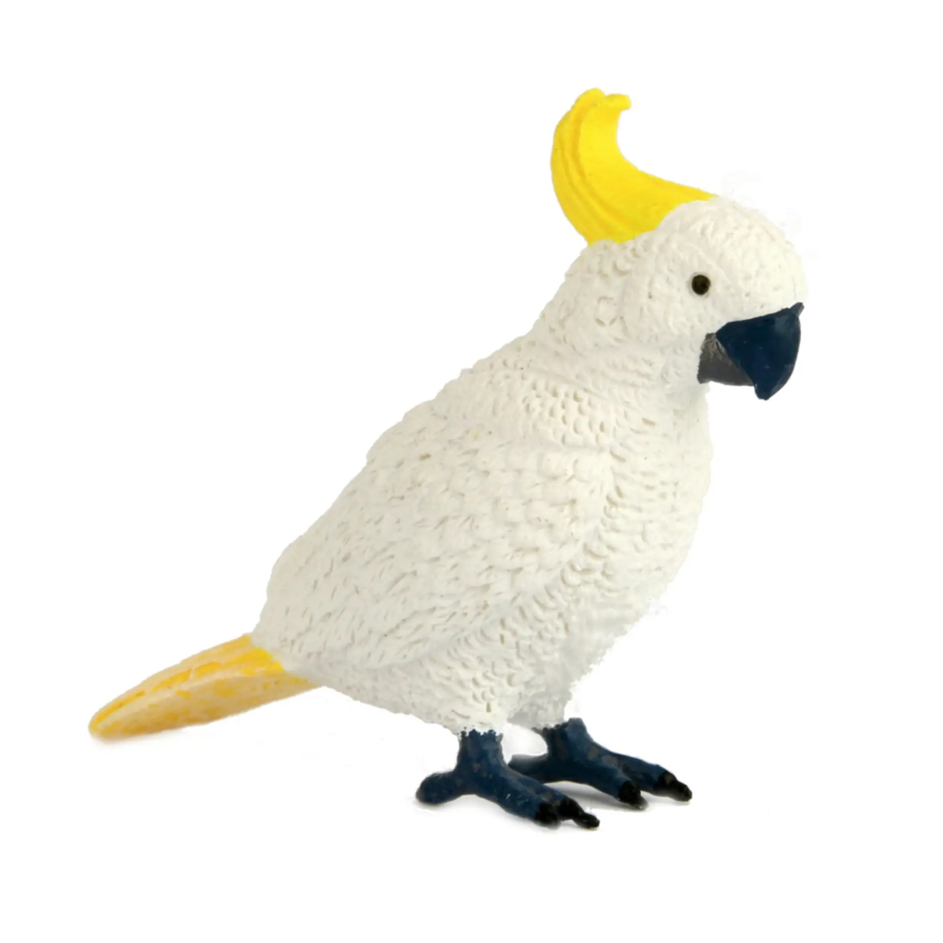 Sulphur-crested Cockatoo