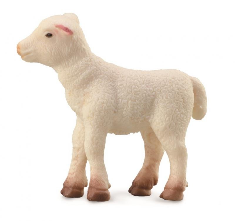 CollectA Lamb - Standing