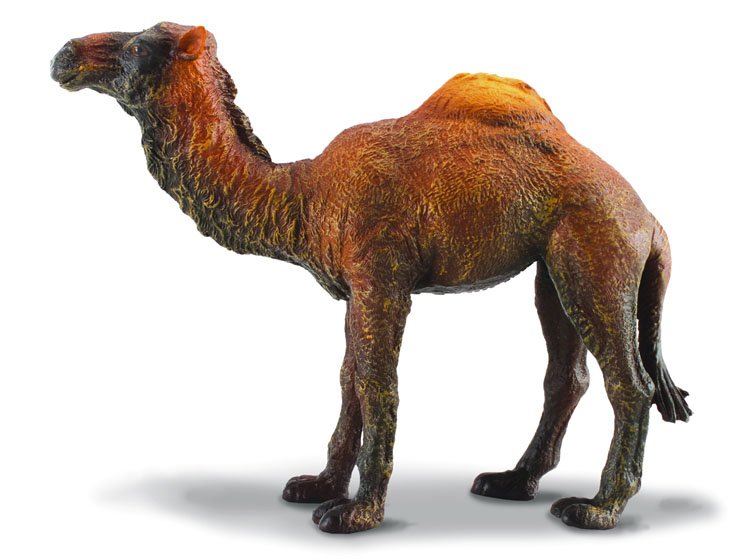 CollectA Dromedary Camel