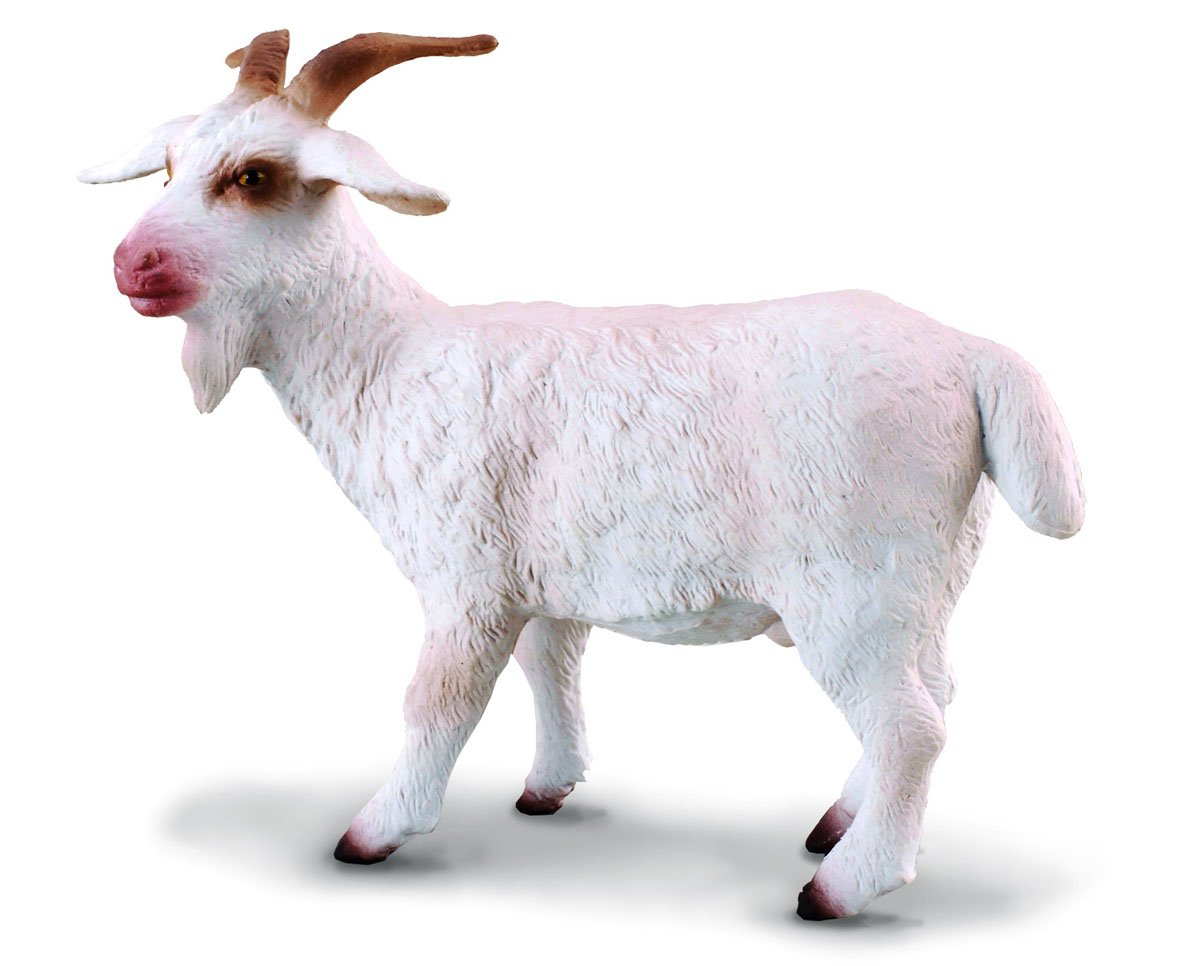 CollectA Billy Goat