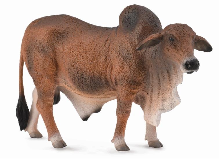 CollectA Red Brahman Bull