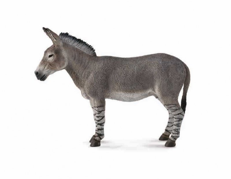 CollectA African Wild Ass