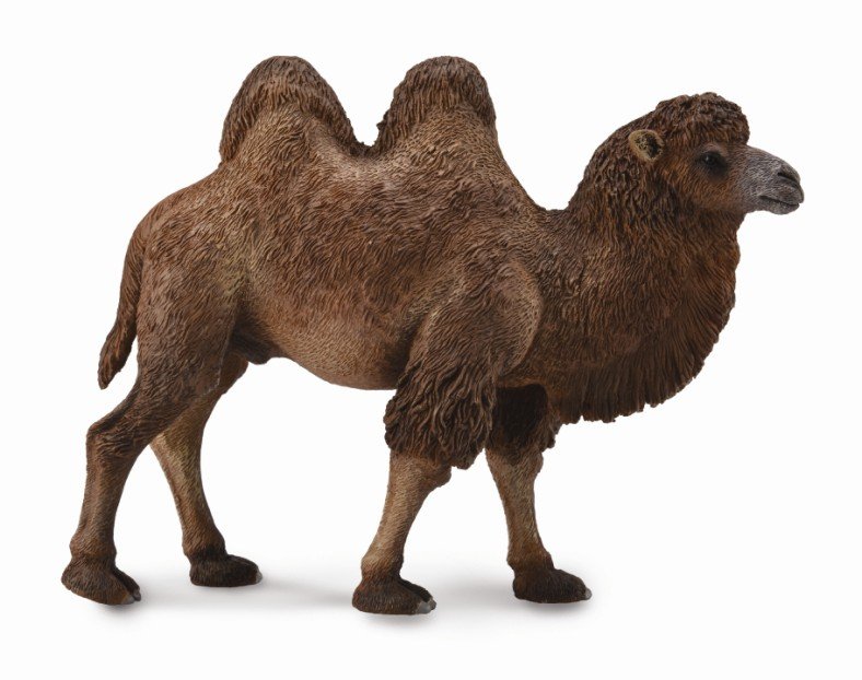 CollectA Bactrian Camel