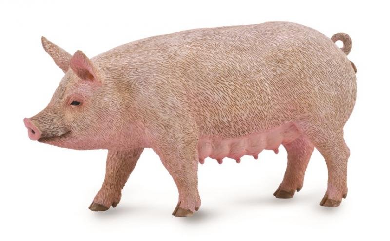 CollectA Pig - Sow